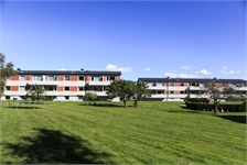 Image missing alt text